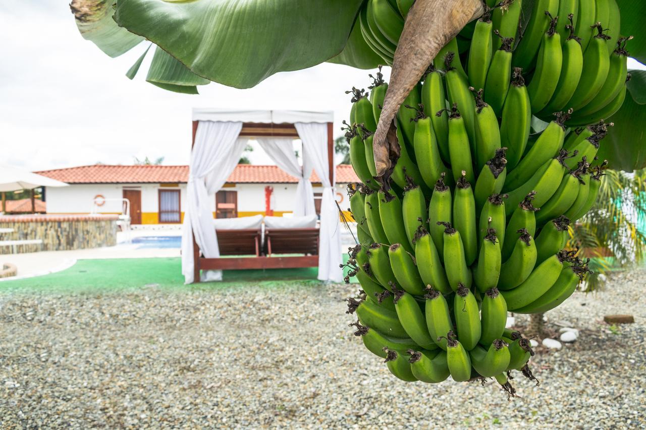 Finca Hotel La Quinta De Torrione Quimbaya Ngoại thất bức ảnh